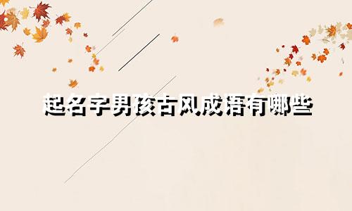起名字男孩古风成语有哪些