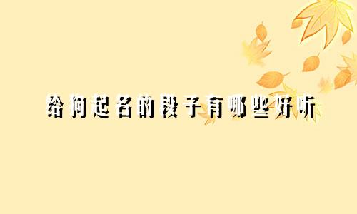 给狗起名的段子有哪些好听
