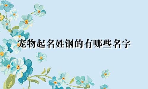 宠物起名姓钢的有哪些名字