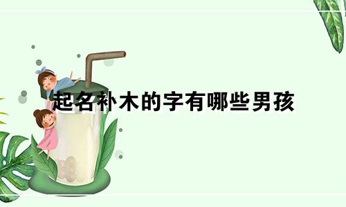 起名补木的字有哪些男孩