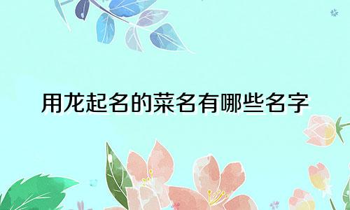 用龙起名的菜名有哪些名字