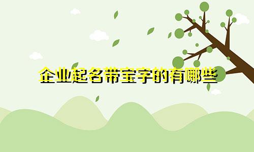 企业起名带宝字的有哪些