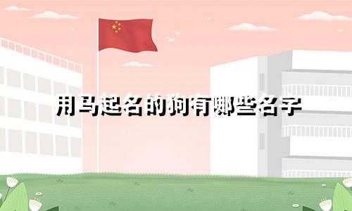 用马起名的狗有哪些名字