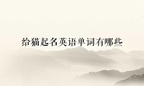 给猫起名英语单词有哪些