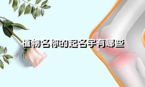 植物名称的起名字有哪些
