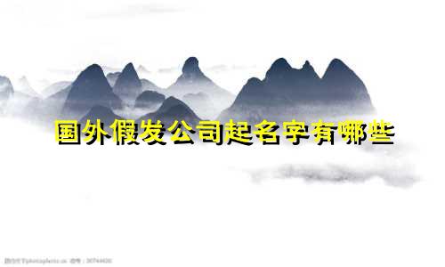 国外假发公司起名字有哪些