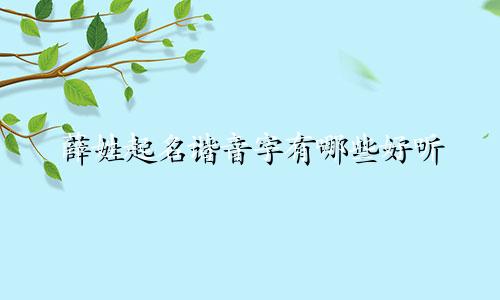 薛姓起名谐音字有哪些好听