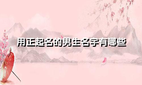 用正起名的男生名字有哪些
