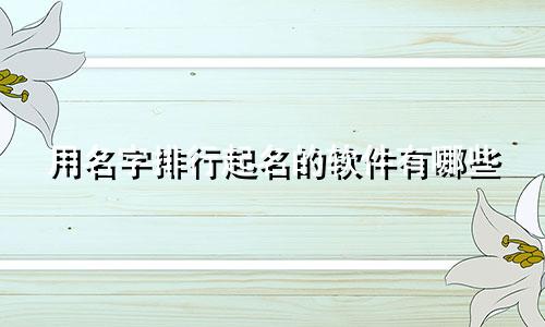 用名字排行起名的软件有哪些