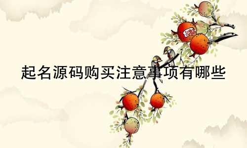 起名源码购买注意事项有哪些
