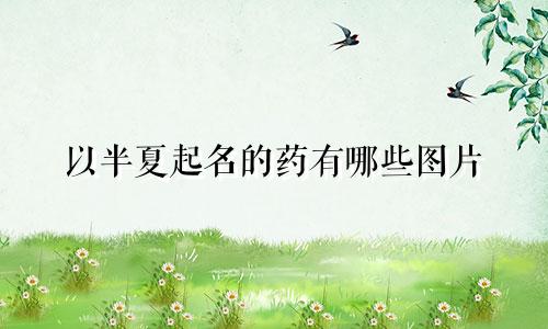 以半夏起名的药有哪些图片