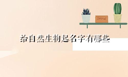 给自然生物起名字有哪些