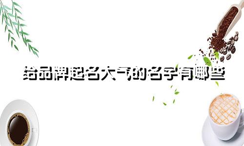 给品牌起名大气的名字有哪些