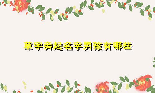 草字旁起名字男孩有哪些