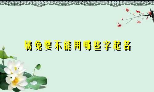 属兔要不能用哪些字起名
