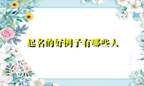 起名的好例子有哪些人