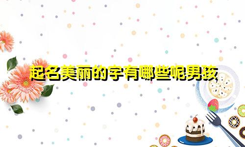 起名美丽的字有哪些呢男孩
