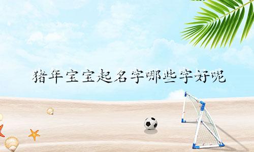 猪年宝宝起名字哪些字好呢
