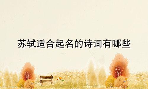 苏轼适合起名的诗词有哪些