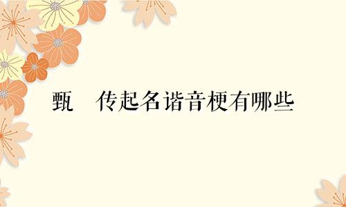 甄嬛传起名谐音梗有哪些