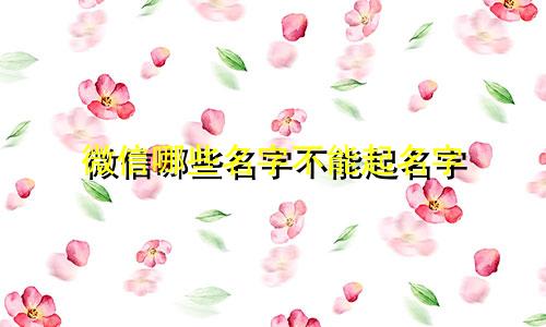 微信哪些名字不能起名字