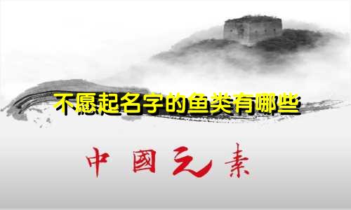 不愿起名字的鱼类有哪些