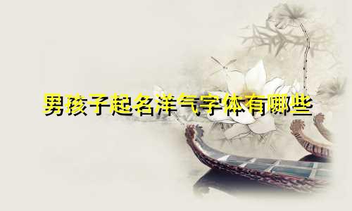 男孩子起名洋气字体有哪些