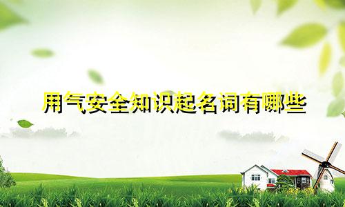 用气安全知识起名词有哪些