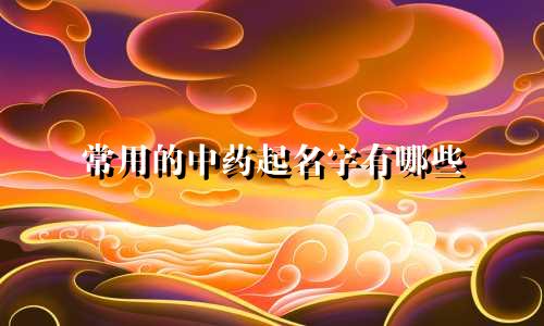 常用的中药起名字有哪些