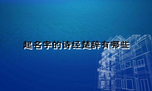 起名字的诗经楚辞有哪些