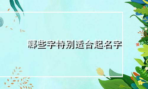 哪些字特别适合起名字