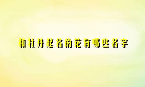 和牡丹起名的花有哪些名字