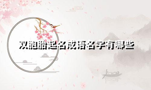 双胞胎起名成语名字有哪些