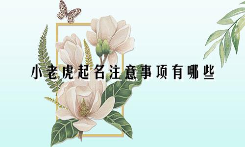 小老虎起名注意事项有哪些