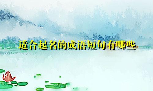适合起名的成语短句有哪些