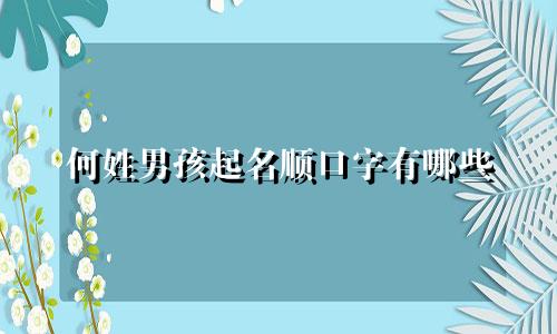 何姓男孩起名顺口字有哪些