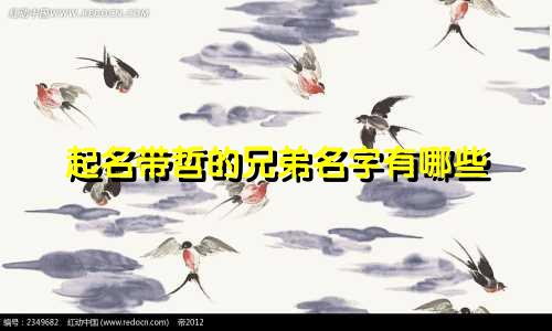 起名带哲的兄弟名字有哪些