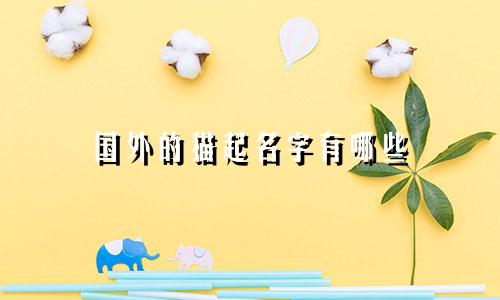 国外的猫起名字有哪些