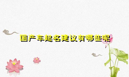 国产车起名建议有哪些呢