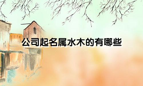 公司起名属水木的有哪些