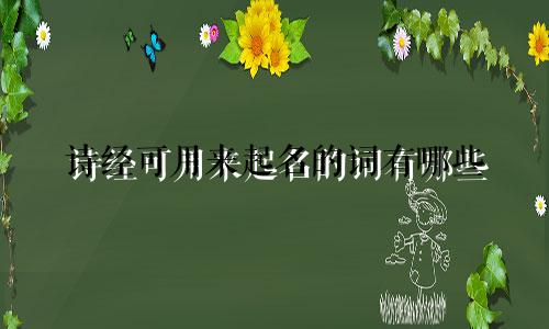 诗经可用来起名的词有哪些