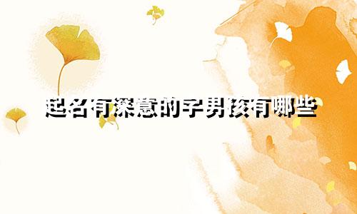 起名有深意的字男孩有哪些
