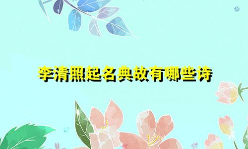 李清照起名典故有哪些诗