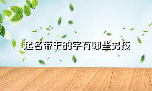 起名带王的字有哪些男孩