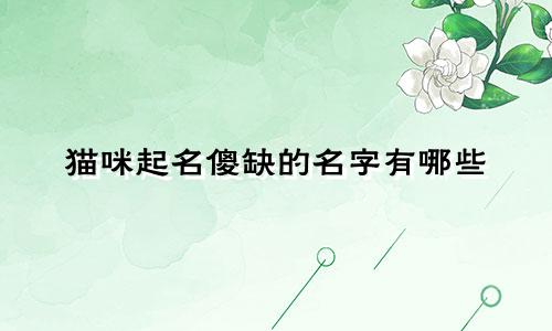 猫咪起名傻缺的名字有哪些