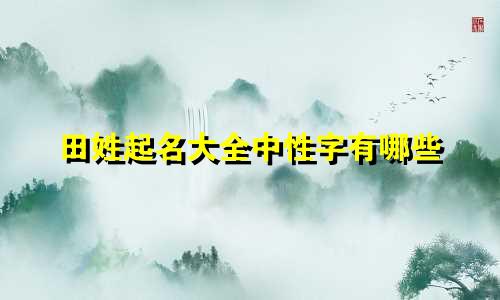 田姓起名大全中性字有哪些