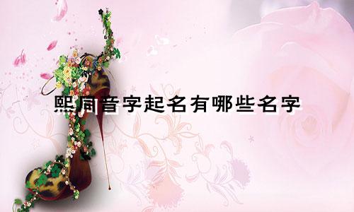 熙同音字起名有哪些名字