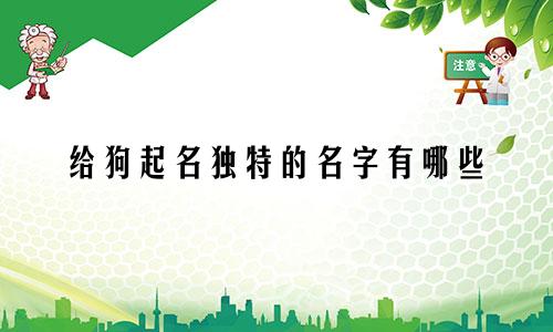给狗起名独特的名字有哪些