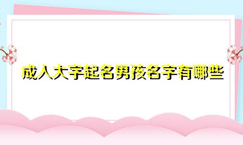 成人大字起名男孩名字有哪些