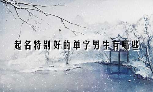 起名特别好的单字男生有哪些